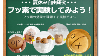 夏休み自由研究にもおすすめ フッ素の効果を調べよう 札幌市 北18条駅 徒歩0分の歯医者さん 札幌ピースデンタルクリニック 19時30分まで診療